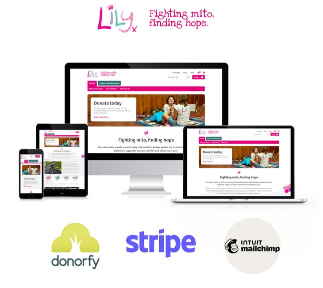Screenshot of The Lily Foundation - Redesign